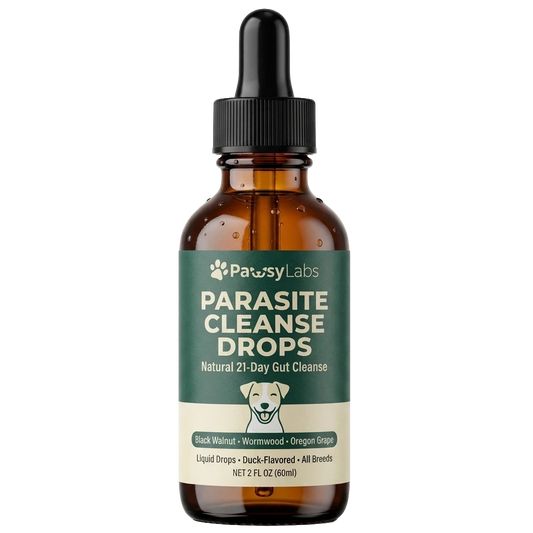 Noio Parasite Cleanse Drops for Dogs All sizes