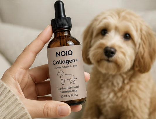 NOIO Premium Liquid Collagen for Dogs