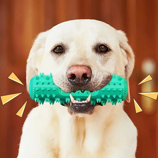 Tough Rubber Dog Toothbrush Chew Toy