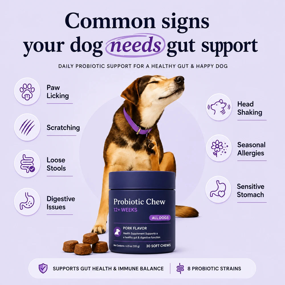 Daily Probiotic Dog Chews
