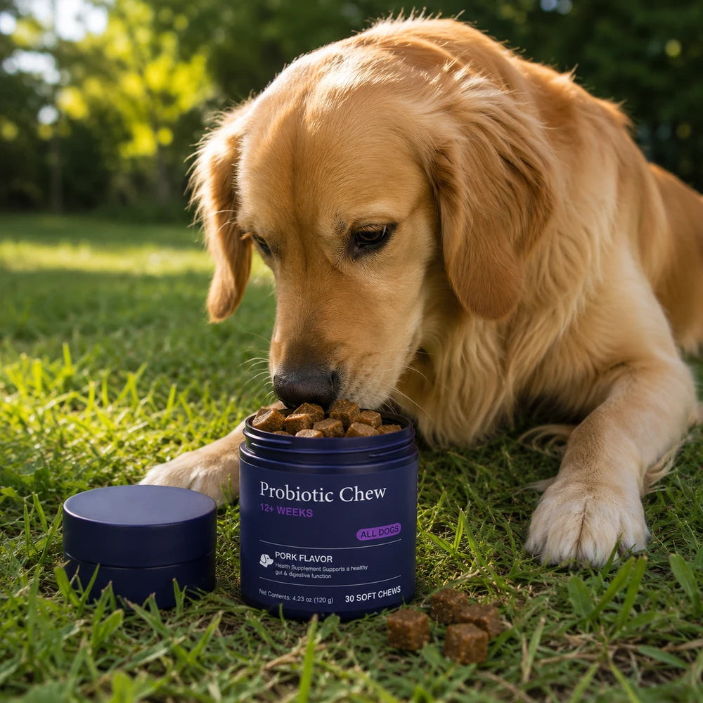Daily Probiotic Dog Chews
