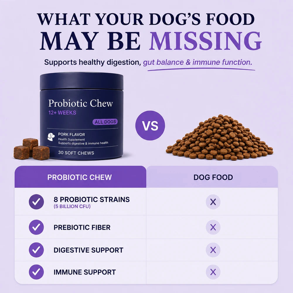 Daily Probiotic Dog Chews
