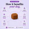 Daily Probiotic Dog Chews