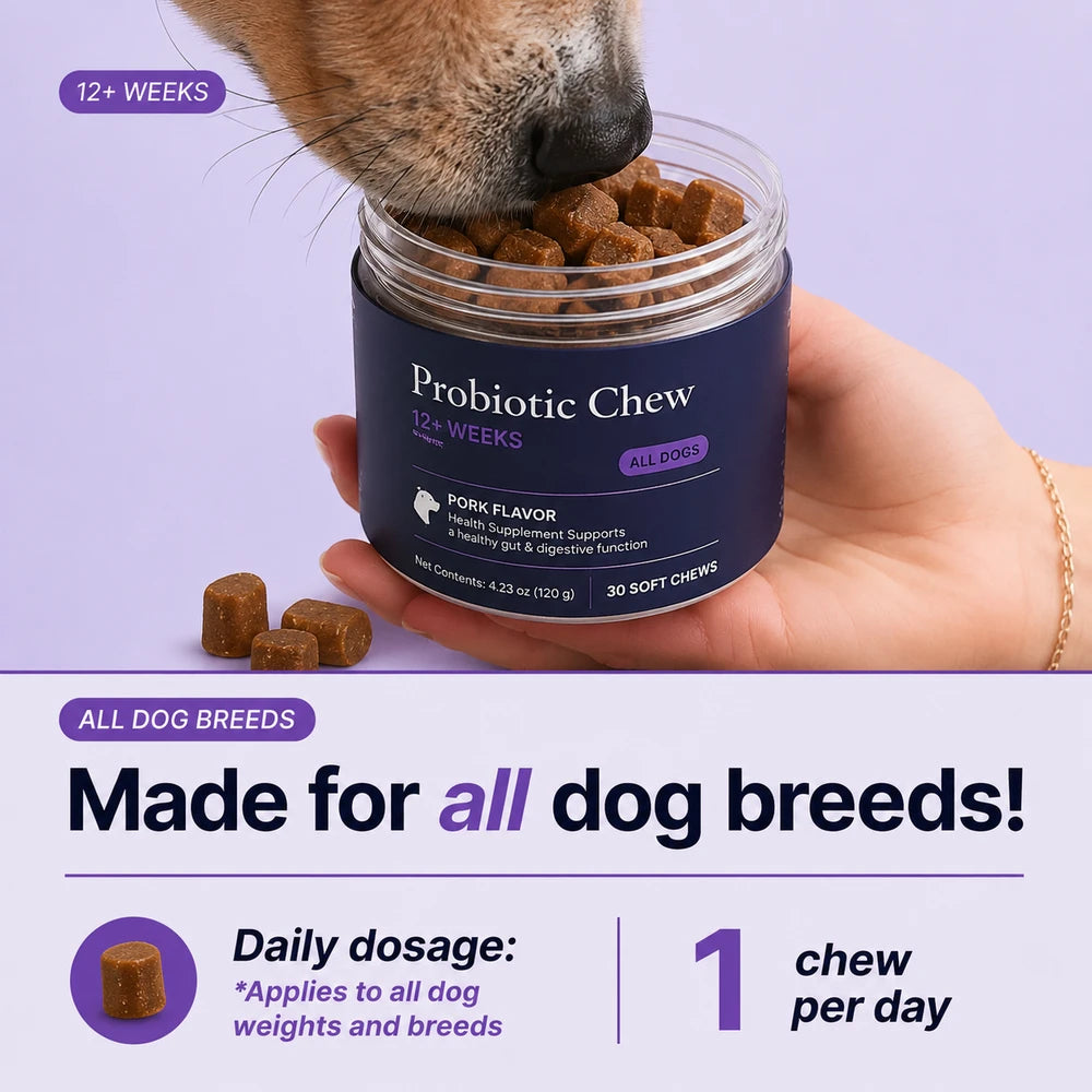 Daily Probiotic Dog Chews