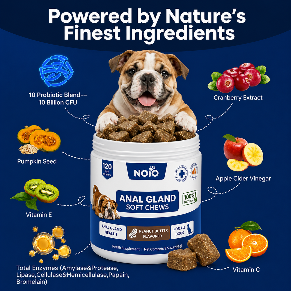 NOIO Anal Gland Support Chews for Dogs All size