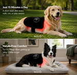 NOIO Pet Wrap Red Light Therapy