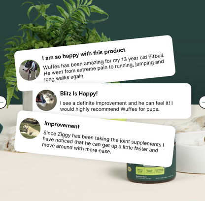 Wuffes Hip & Joint Chews for Small, Medium & Large Dogs