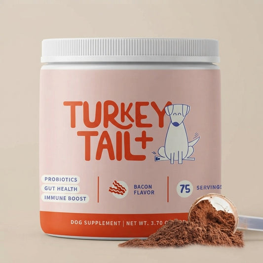 Turkey Tail Mushroom Supplement for Dogs