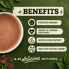 High Flavanol Cocoa Powder for Circulation and Performance