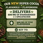 High Flavanol Cocoa Powder for Circulation and Performance